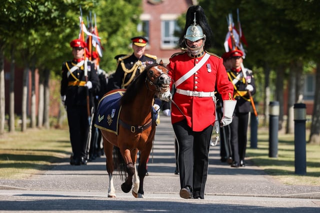 The mascot of the Queen’s Dragoon Guards with his handler, walk down Sir Tom Moore Walk