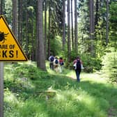 Keep to footpaths and avoid long grass when out walking. Photo: AdobeStock