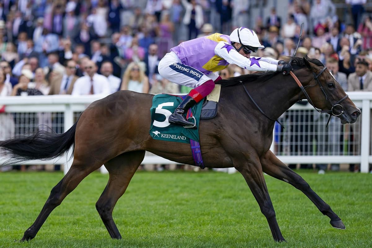 Plain Racing Turf Talk: Flat racing season steps up a gear with running of first two ...