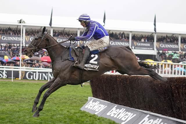 Energumene clears the last hurdle to win the Queen Mother Champion Chase on day two of the 2022 Cheltenham Festival. Picture: Alan Crowhurst/Getty Images