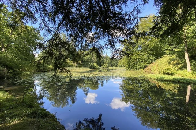 Swinton Park Walk is in Nidderdale is a10.3-km loop trail near Harrogate. It is considered a moderately challenging route and takes an average of 2h 26 min to complete. This is a popular area for hiking, mountain biking, and running,
