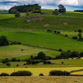 A field near Marrick, Richmondshire. (Pic credit: James Hardisty)