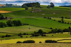 A field near Marrick, Richmondshire. (Pic credit: James Hardisty)