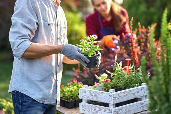 Following a harsh winter, house-proud Brits are being urged to get ahead of their Spring cleaning and spruce up their garden in time for some brighter spring weather