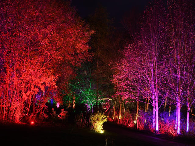 Winter illuminations have returned to RHS Harlow Carr.