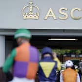 Ascot Racecourse hosts British Champions Day this Saturday. Picture: Alan Crowhurst/Getty Images