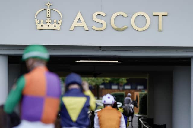 Ascot Racecourse hosts British Champions Day this Saturday. Picture: Alan Crowhurst/Getty Images