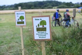 The Great Hedge Planting will take place in Harrogate across the weekend of December 17-18 at Long Lands Common. (Picture Gerard Binks)