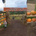Birchfield Pumpkin Festival 2023 is located in Nidderdale and has been busy as usual.