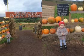 Birchfield Pumpkin Festival 2023 is located in Nidderdale and has been busy as usual.