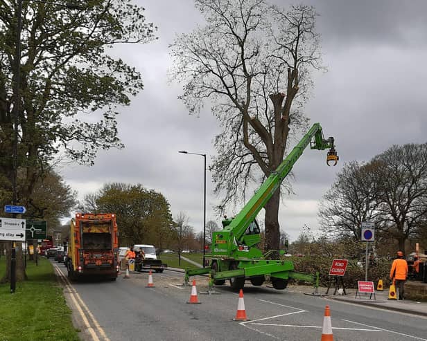 The appearance of the towering crane led to tailbacks on Knaresborough Road all the way from Starbeck to the Empress roundabout. (Picture Graham Chalmers)