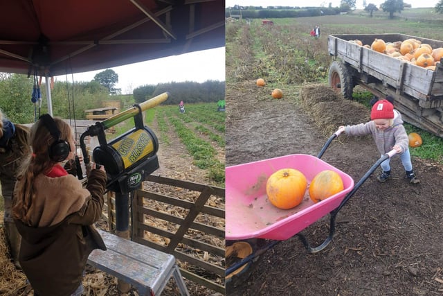 Families flock from all over the Dale to pick their favourite pumpkins to carve for Halloween.