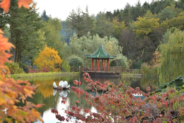 The Himalayan Garden and Sculpture Park near Ripon has won two Britain in Bloom awards