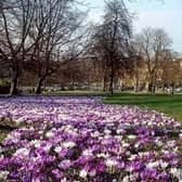 Visit Harrogate
