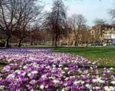 Visit Harrogate