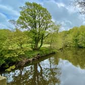 Yorkshire Dales River Trust Open Day to take place in Pateley Bridge on Saturday, September 16.