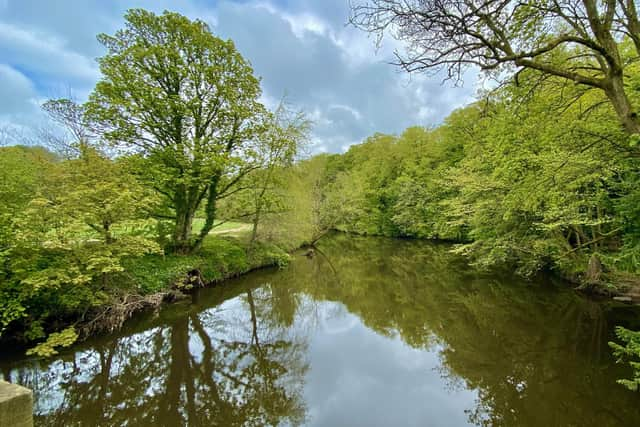 Yorkshire Dales River Trust Open Day to take place in Pateley Bridge on Saturday, September 16.