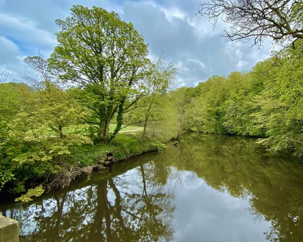 Yorkshire Dales River Trust Open Day to take place in Pateley Bridge on Saturday, September 16.