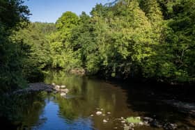 River Nidd near Knaresborough