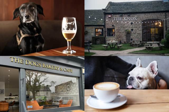 We take a look at 21 of the best dog friendly cafes and pubs to visit in the Harrogate district - as chosen by Harrogate Advertiser readers