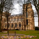 A number of independent businesses are facing a battle with Ripon Cathedral over its £6 million plans to expand