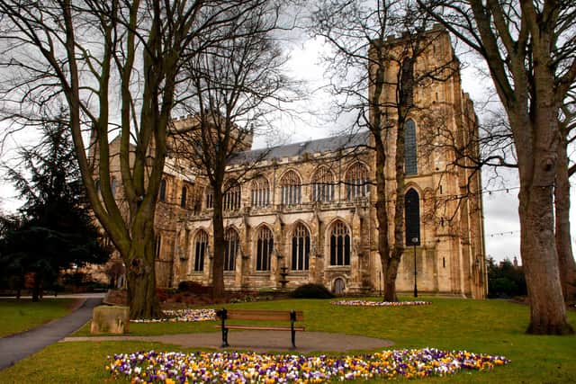 A number of independent businesses are facing a battle with Ripon Cathedral over its £6 million plans to expand