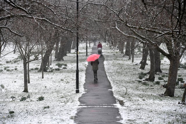 People braving the cold and enjoying a morning walk through a snowy Stray in Harrogate