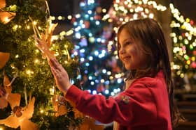 Young Effie Myers aged six takes a closer look at one of the trees on display at the Great Knaresborough Christmas Tree Festival at St John's Church. (Picture Gerard Binks)