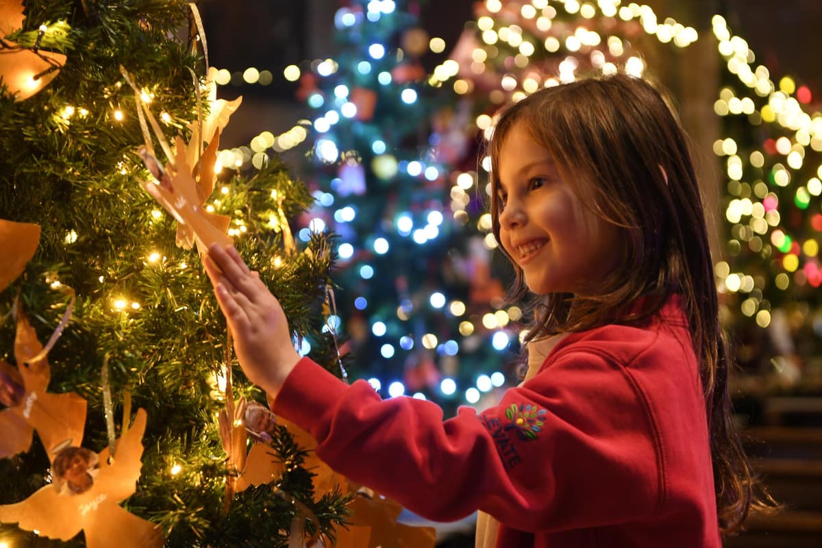 Historic church's Christmas Tree Festival boosts Knaresborough's reputation as one of UK's most Historic church's Christmas Tree Festival boosts Knaresborough's reputation as one of UK's most