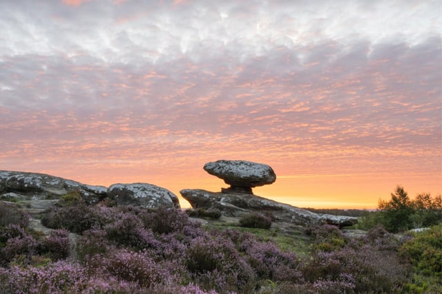Brimham Rocks is located in Nidderdale and is open from 9am-12am everyday.