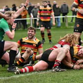 Harrogate RUFC make it over the try-line during Saturday's 22-18 North One East victory over Cleckheaton. Picture: Daniel Kerr