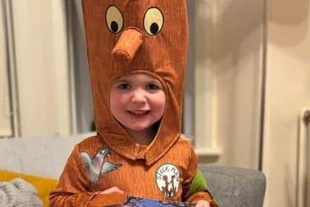 Ruby Robinson (aged two) dressed up as Stick Man