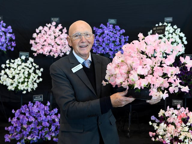David Matthewman with his Gold award-winning sweet pea flower arrangement on display at the show