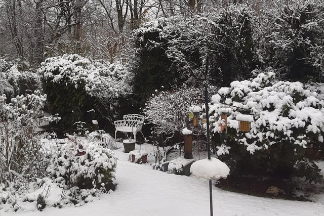 A back garden in Harrogate covered in a blanket of snow