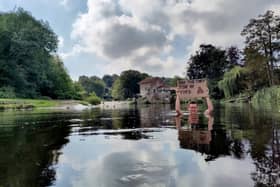 Wild swimmer Adam Harper from Boroughbridge makes his point with a strongly worded banner in the River Nidd at Knaresborough Lido on Saturday. (Picture contributed)