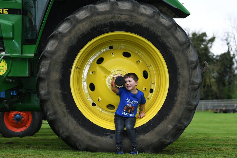 Ted Charles, aged three from Bedale, enjoying looking at all of the vintage tractors on display at Tates Garden Centre in Ripon