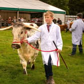 Nidderdale Show 2023 is the first official show to break the Monday tradition. Image by Jemison Photographer