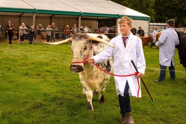 Nidderdale Show 2023 is the first official show to break the Monday tradition. Image by Jemison Photographer