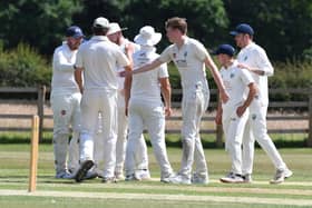 Birstwith CC celebrate an early wicket for Thomas Johnston during Saturday's Theakston Nidderdale League Division One victory over Masham. Pictures: Gerard Binks