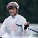 Frankie Dettori recently rode to his 499th career win. Picture: Alan Crowhurst/Getty Images