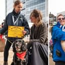 Harrogate Business Improvement District (BID) has announced that the Yorkshire Shepherdess Amanda Owen will return as a star judge for this year’s Harrogate Dog Show