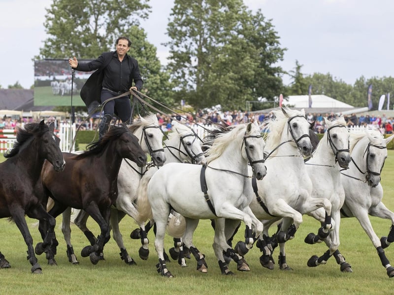 An amazing performance in the main ring at the show by Lorenzo and his highly trained horses