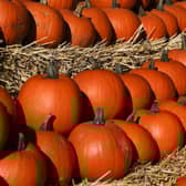 A pumpkin trail will be among the highlights of the Halloween events in Ripon