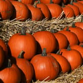 A pumpkin trail will be among the highlights of the Halloween events in Ripon