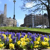 The visitor economy in Harrogate contributes £600m to our economy each year.
Picture Gerard Binks.