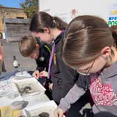 Children exploring the natural world