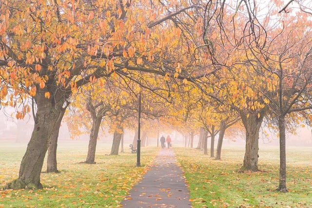 This image was taken of The Stray in Harrogate, during Autumn 2023.