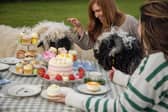 Blooming Sheep, a countryside farm located in Kirkby Overblow near Harrogate, has launched a unique afternoon tea experience with a flock of Valais Blacknose sheep