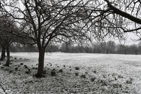 The Harrogate district has woken up to a blanket of snow this morning, causing disruption across the region