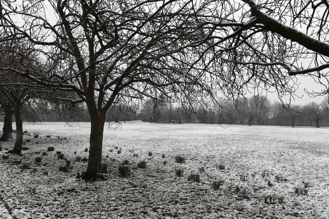 The Harrogate district has woken up to a blanket of snow this morning, causing disruption across the region